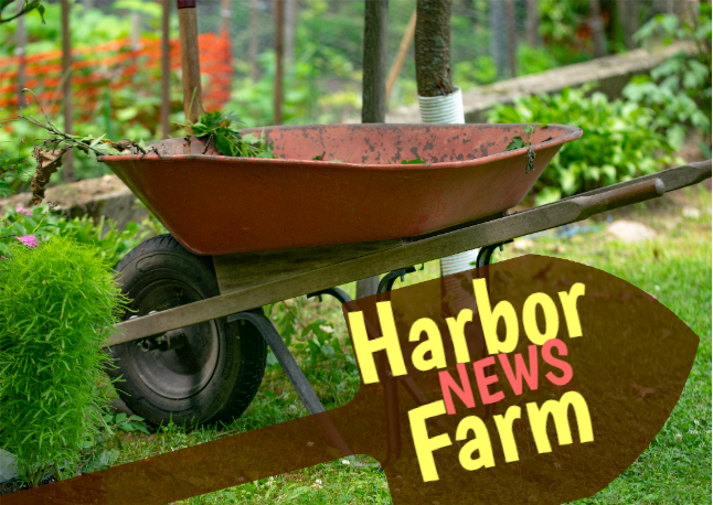 Harbor Farm News 6.29.23